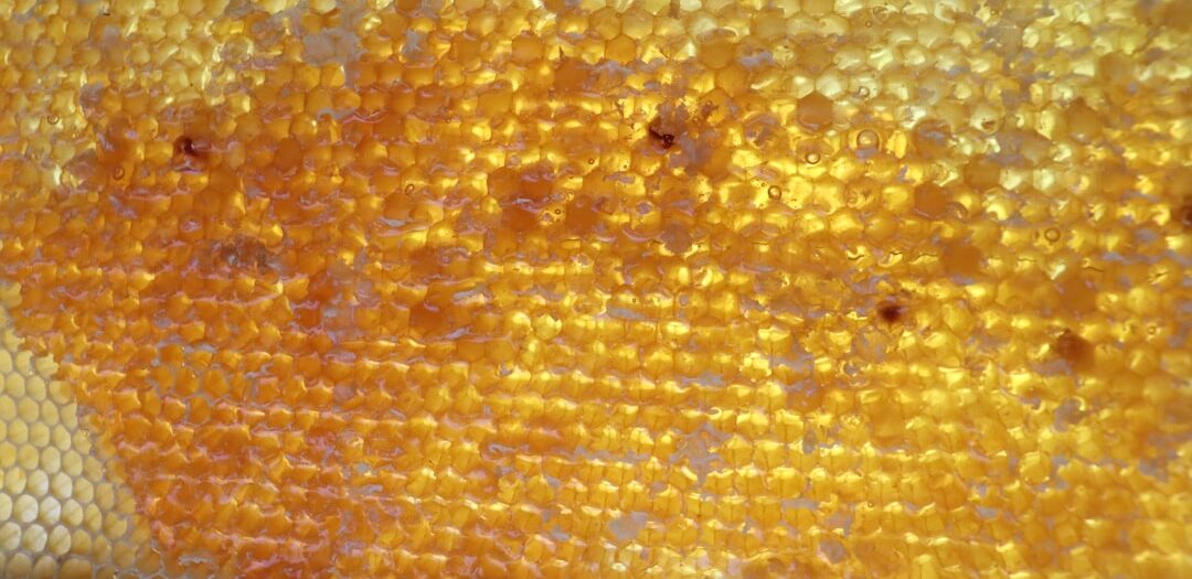 Msemen met Honing en Boter