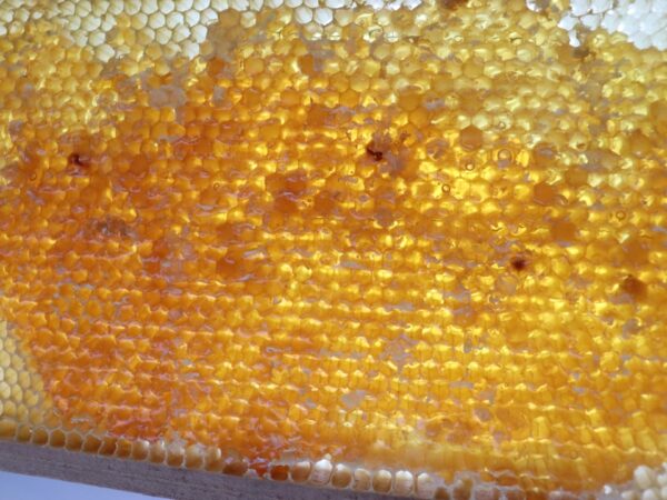 Msemen met Honing en Boter