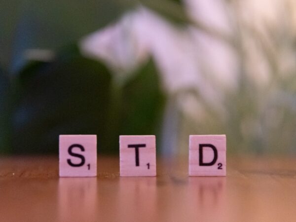 Stifado
