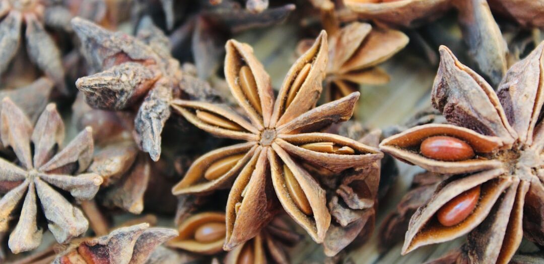 Vietnamees Rundvleesstoofpot met Steranijs (Thịt Kho)