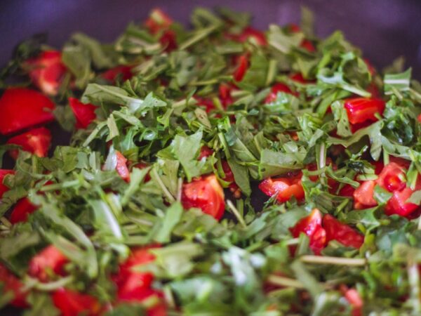 Cactus Paddle Salad