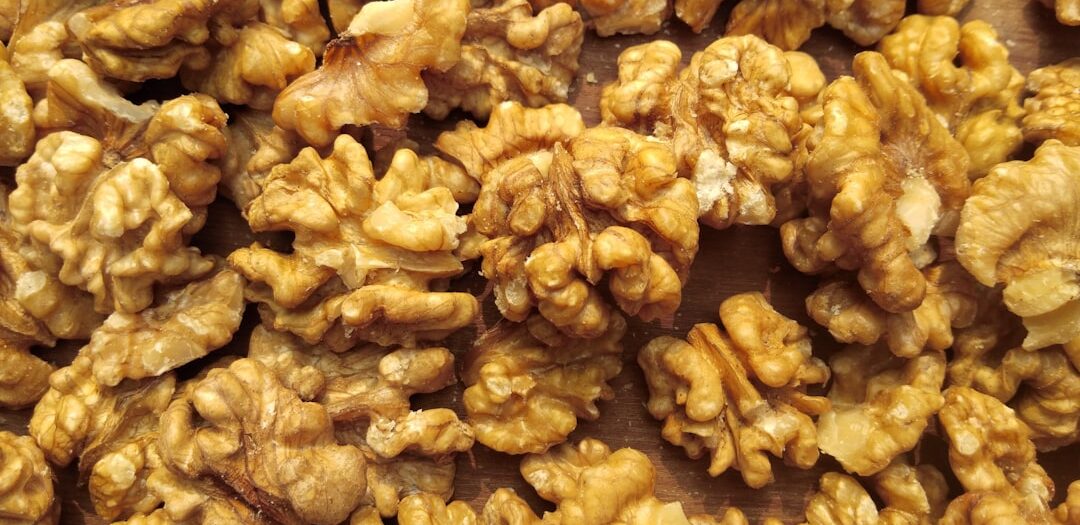 Greek Honey Walnut Pastry (Karioka)