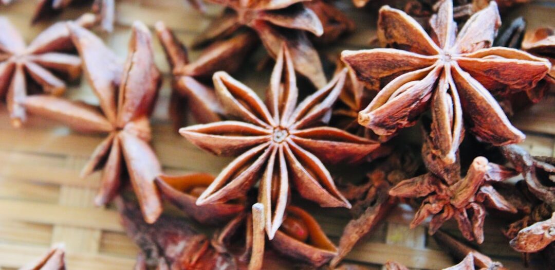 Vietnamese Braised Beef with Star Anise (Thịt Bò Kho)
